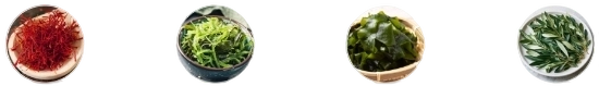 Microplastic Defense Matrix